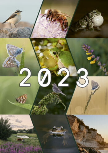 Vægkalender 2023 med naturmotiver