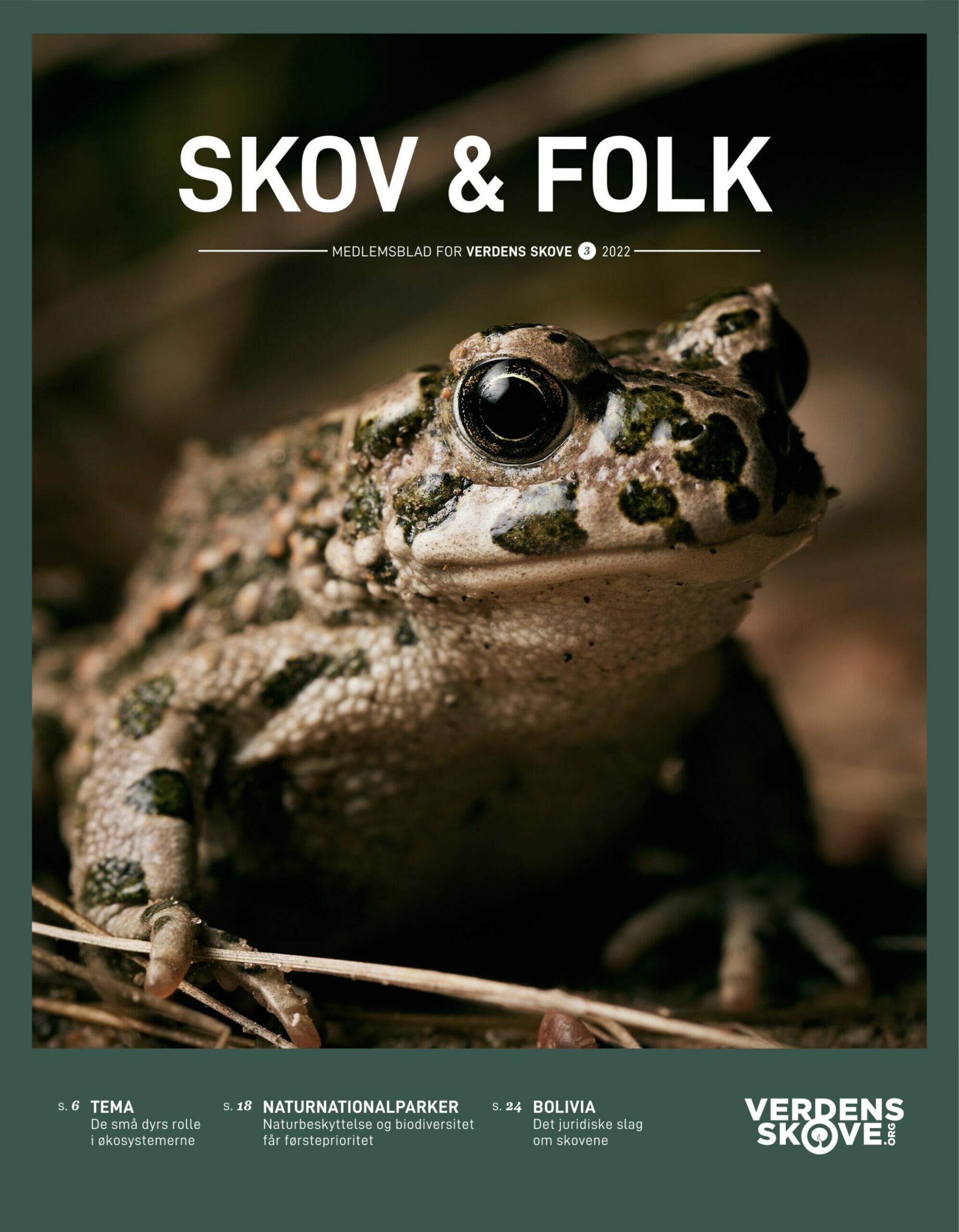 Skov Folk 3 2022 Faerdig opslag web 901 scaled